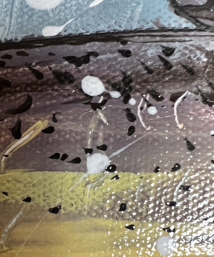 Fish 2 - Image 2